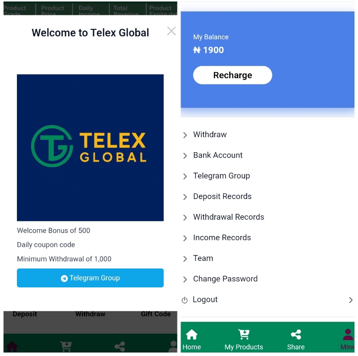 Teleex-global.com Review: Legit or Not
