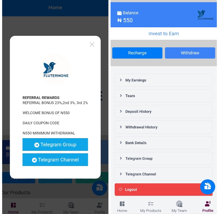 Flutermone.com Review: Legit or Not