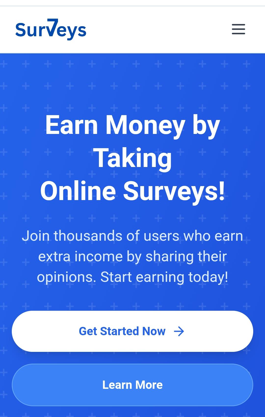 7Survey.store Review