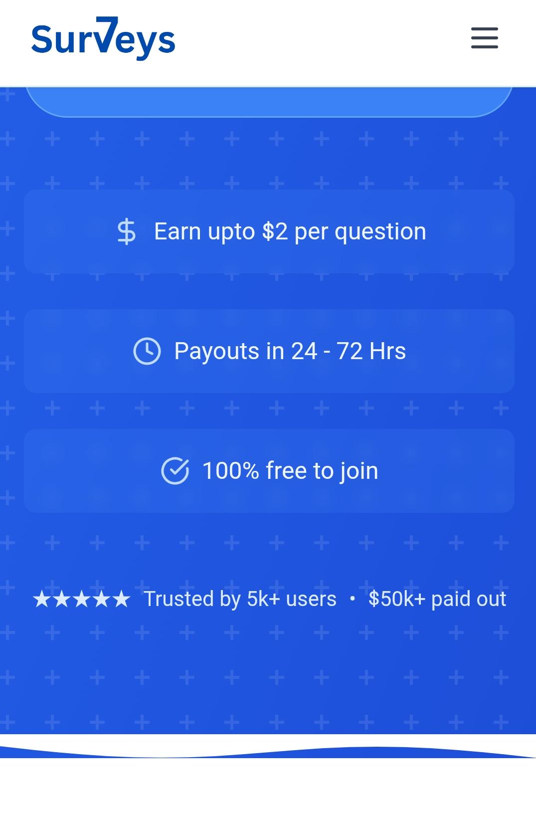 7Survey.store Review