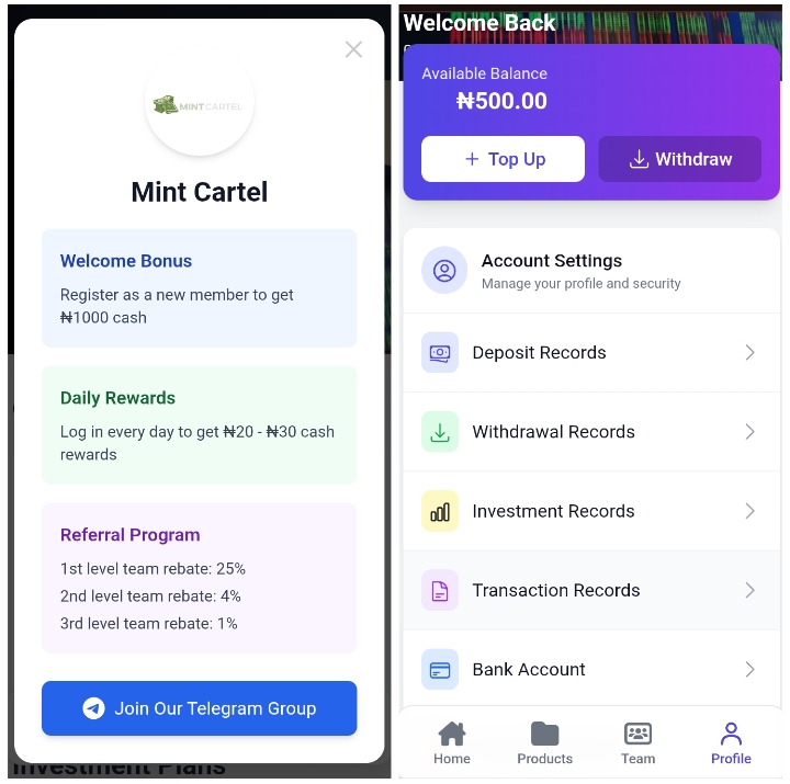 Mint-cart.store Review: Legit or Not