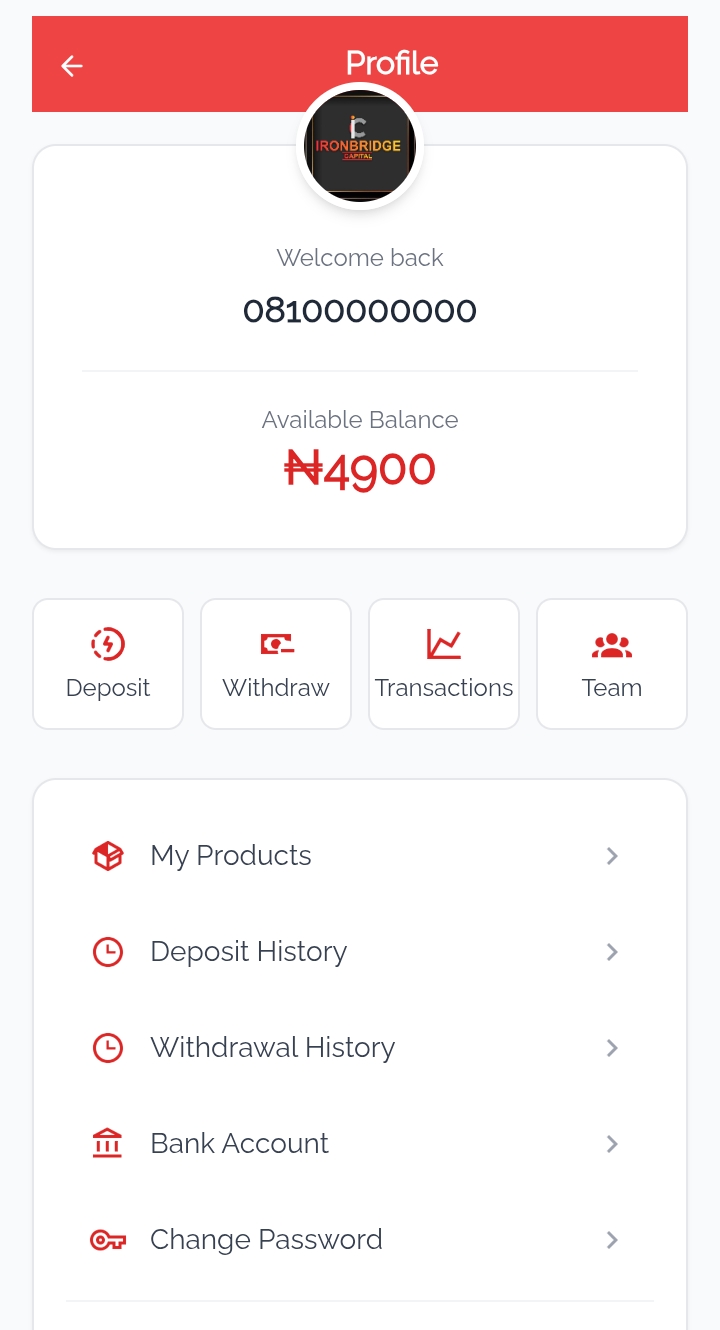 Ibridge-ng.com Review: Legit 