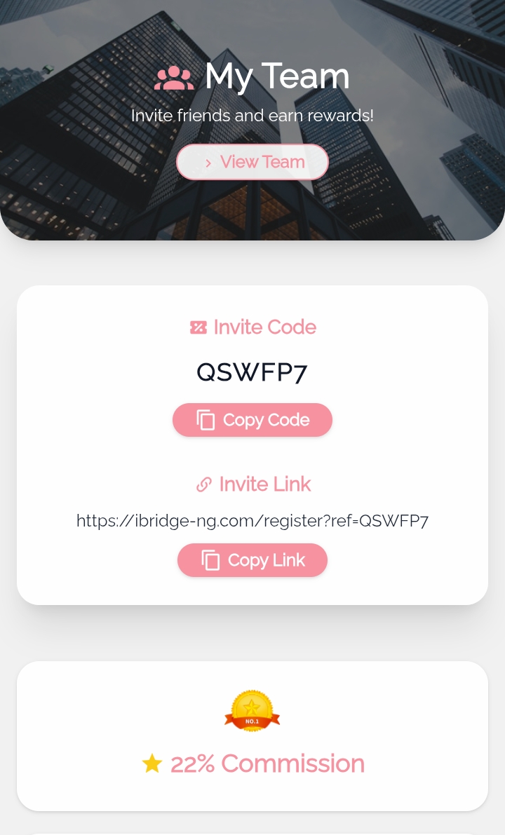 Ibridge-ng.com Review: Legit 