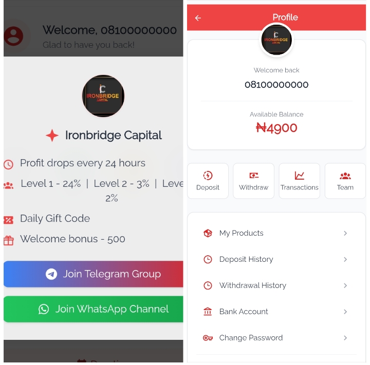 Ibridge-ng.com Review: Legit