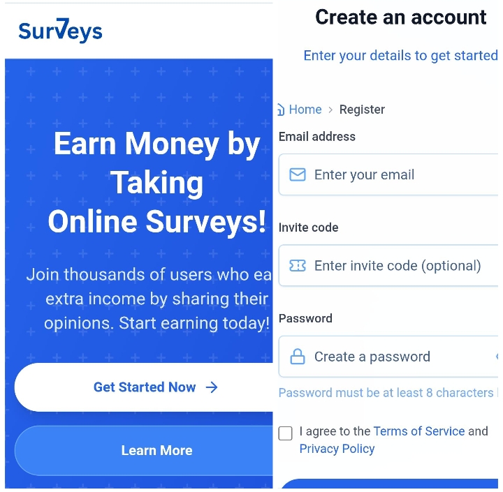7Survey.store Review