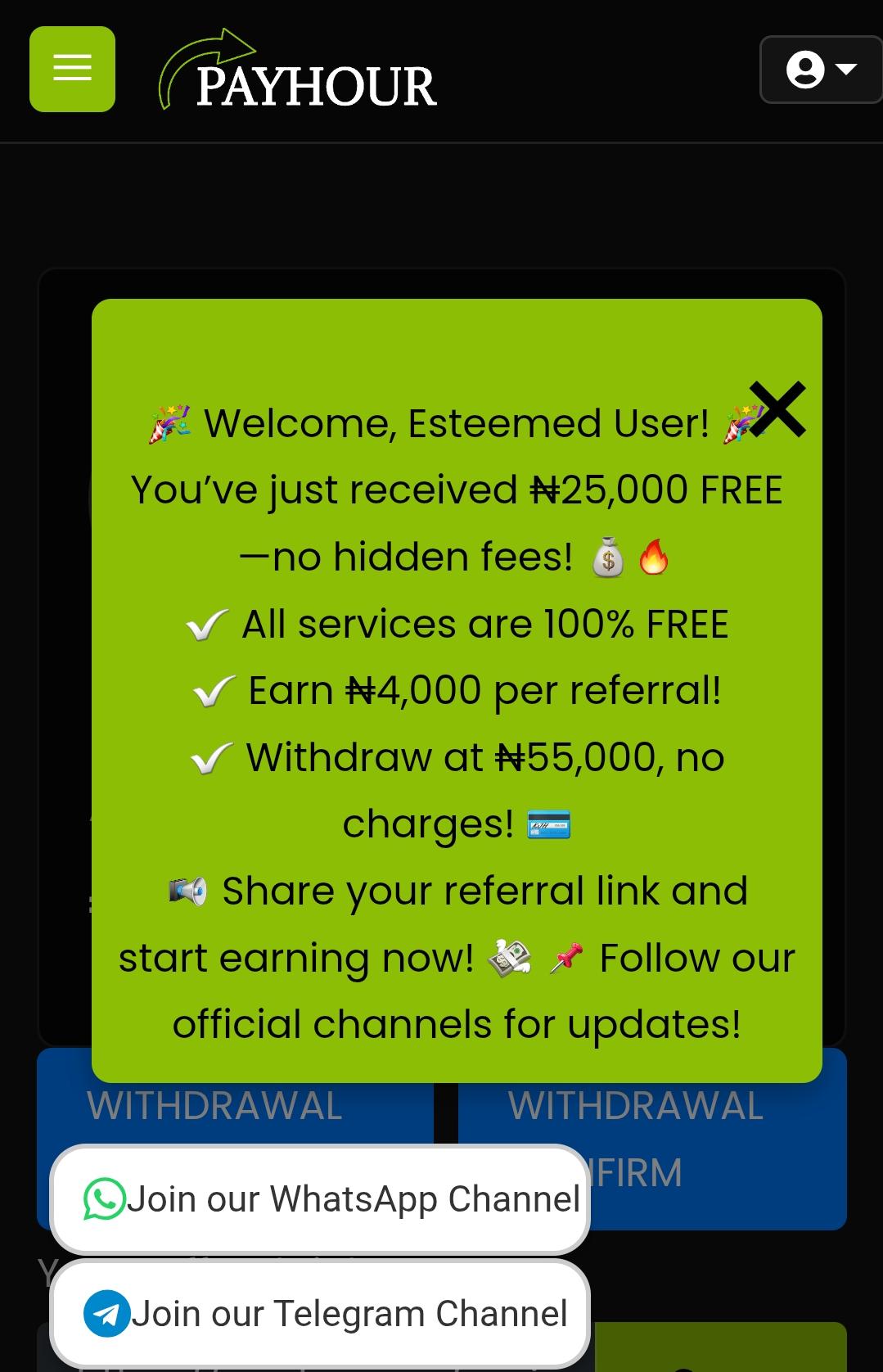 Payhour.co Review: Legit or Not