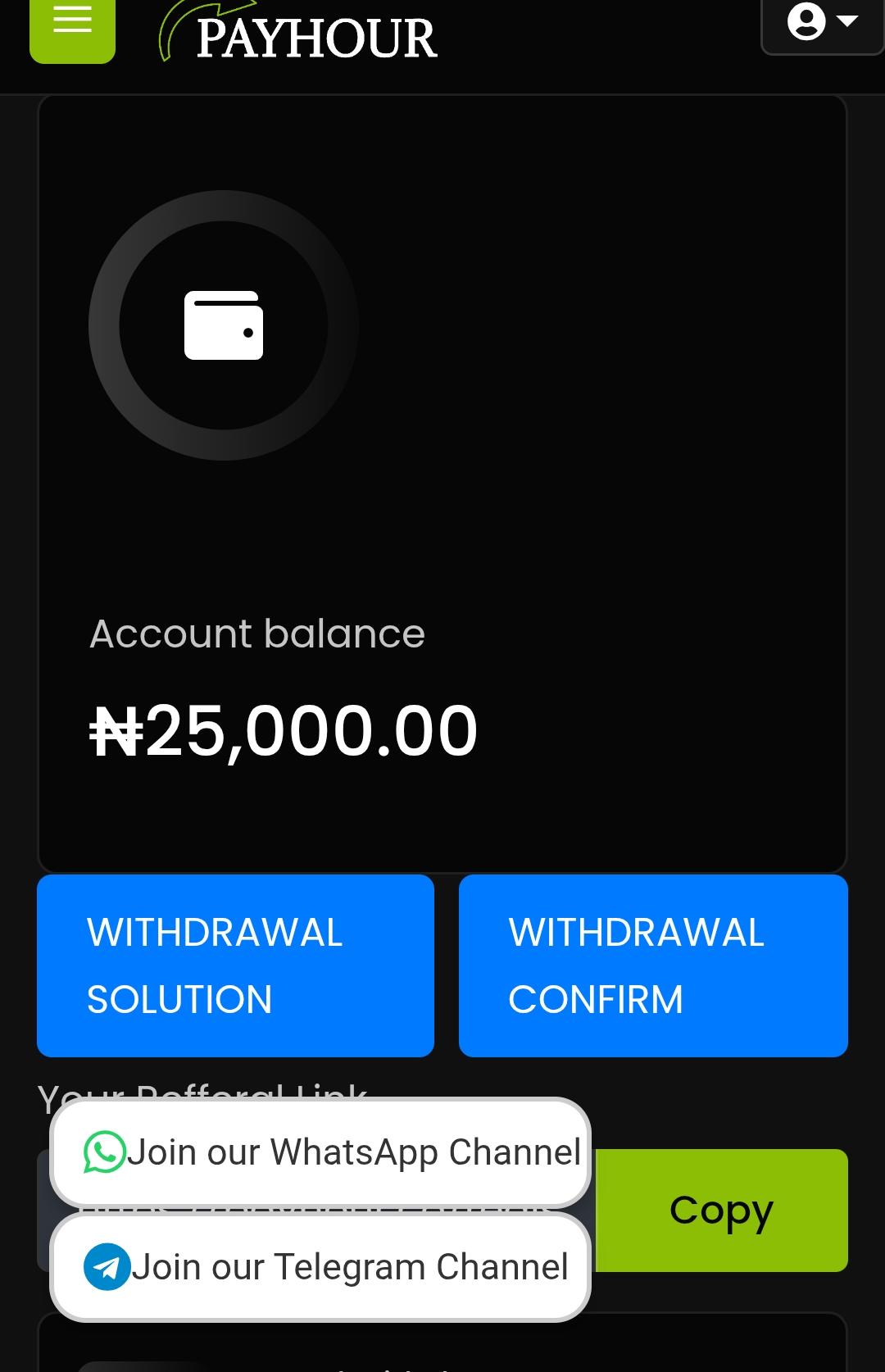 Payhour.co Review: Legit or Not