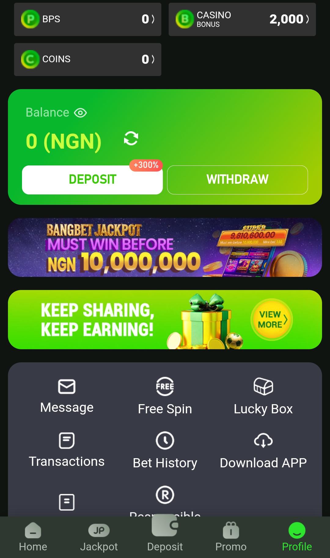 Banggame.com Review: Is BangBet Casino Legit?