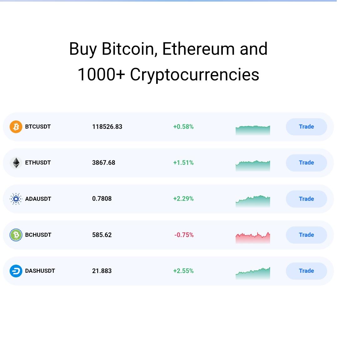 Mtsfoundation Review: A Legit Platform? (tofro5.com)