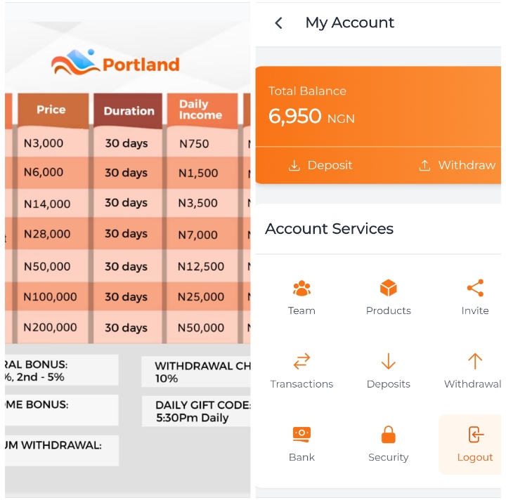 Portlands.site Review: Legit or Not