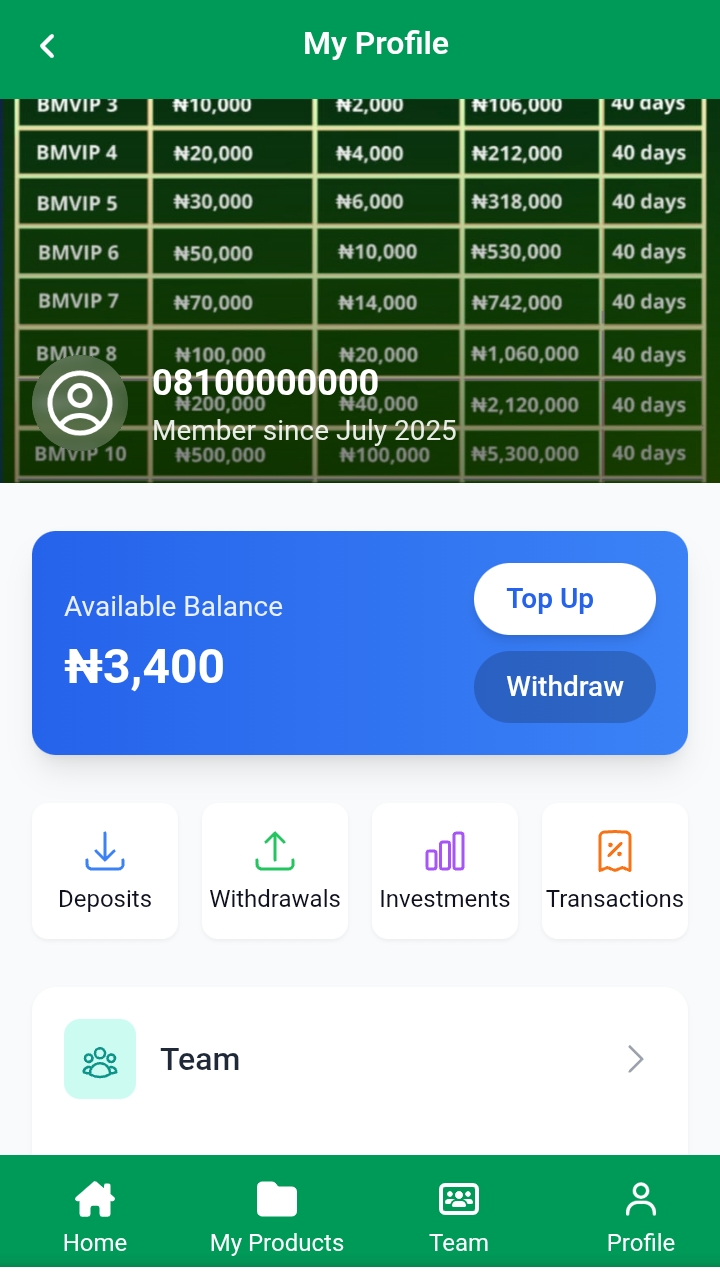 Blockmint.site Review: Legit or Not? 