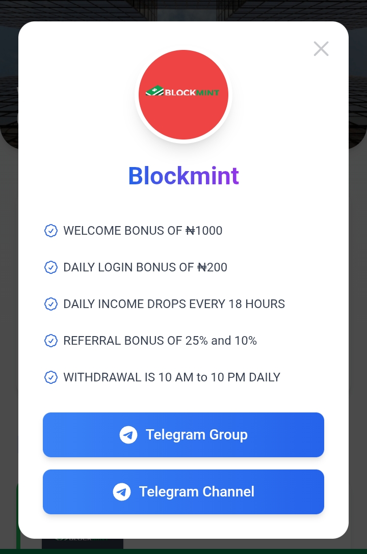 Blockmint.site Review: Legit or Not? 