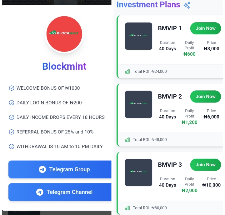 Blockmint.site Review: Legit or Not?
