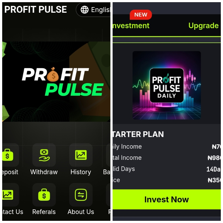 Mine.profitpulse.com.ng Review: Legit or Not?