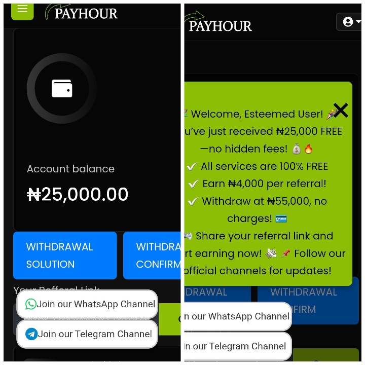 Payhour.co Review: Legit or Not