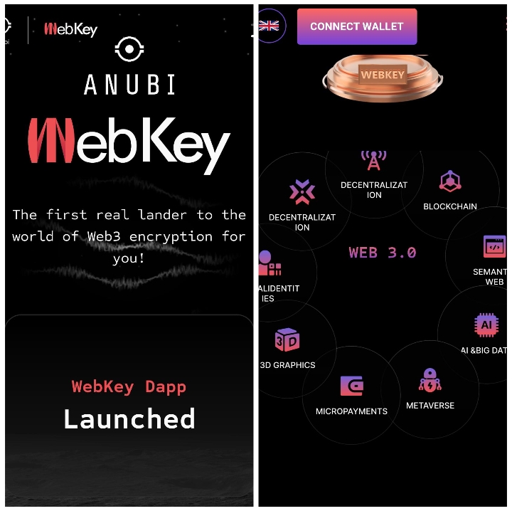 Anubi WebKey Review: Everything You Need To Know 