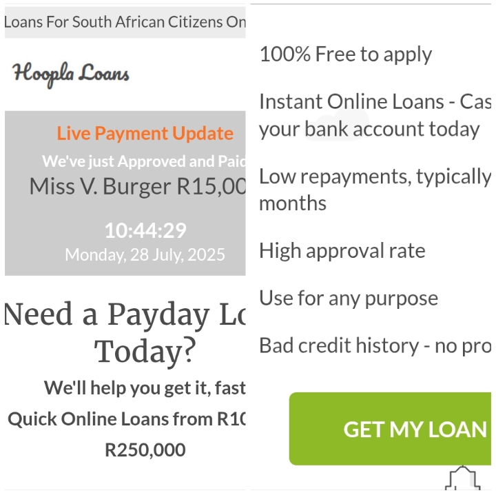Hoopla Loans Review
