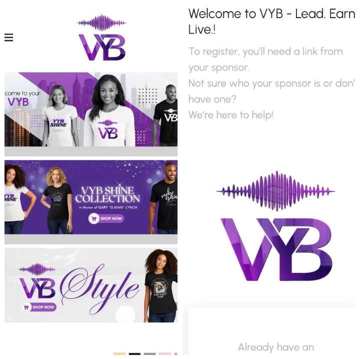 TheVYB.io Review: Is VYB Website Legit?