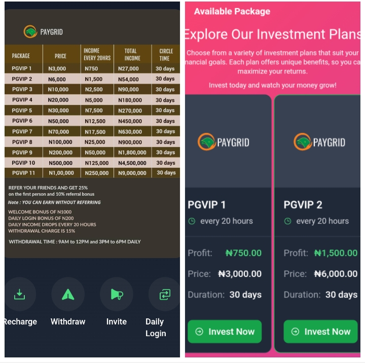 Paygrid.site Review: Legit or Not?