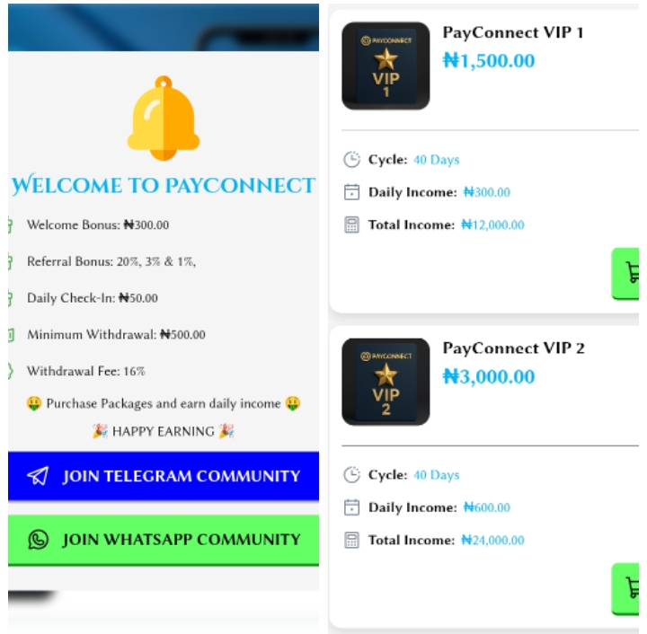 Payconnect.int.ng Review: Legit or Not? (Find Out Here)