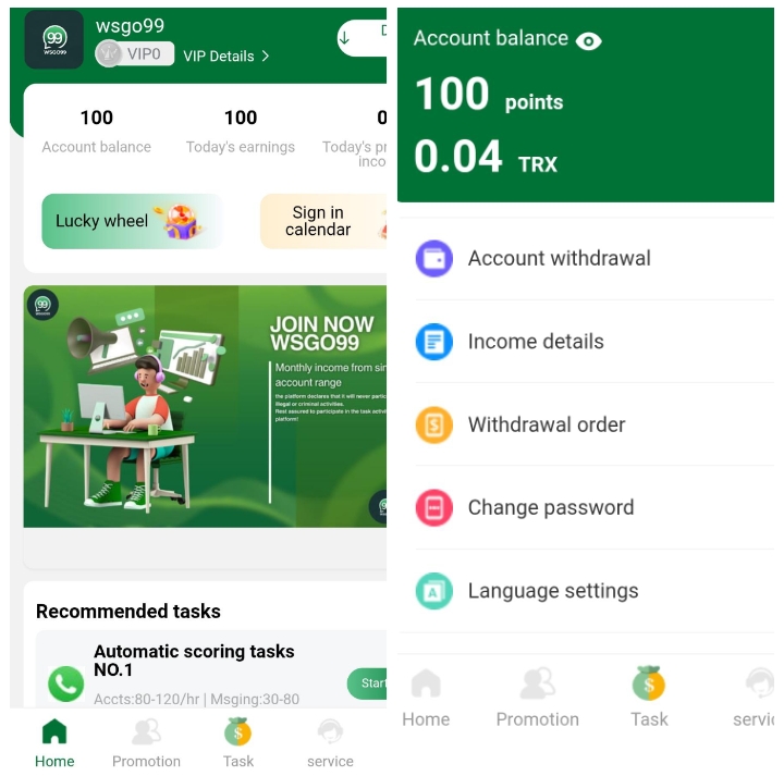 Wsgo11.com Review: Is Wsgo99 Really Paying?