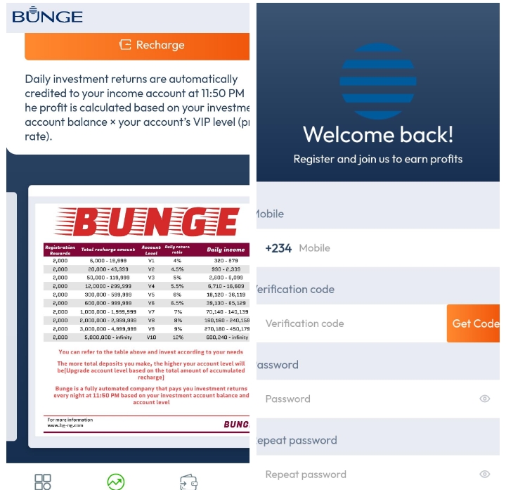 Bg-ng.com Review: Is Bunge Legit