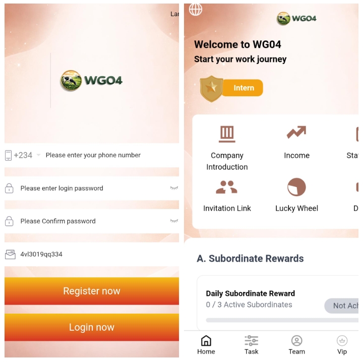 Wg04.com.ng Review: Legit Or Not?