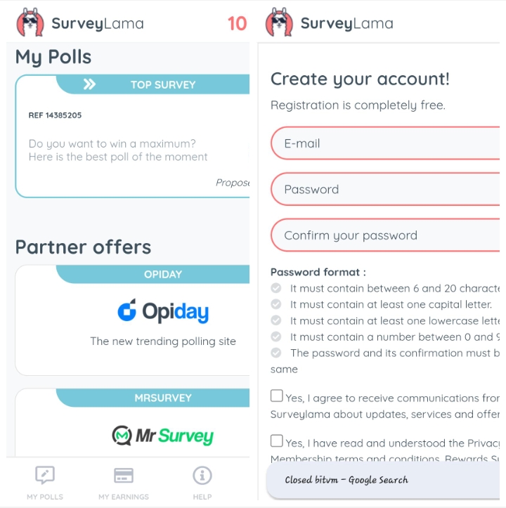 Surveylama.com Review