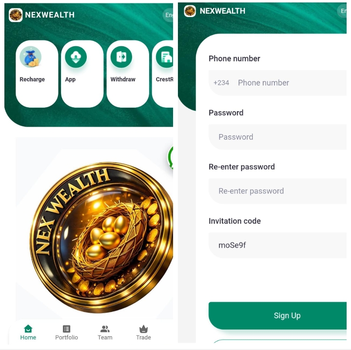 Nexwealth.online Review