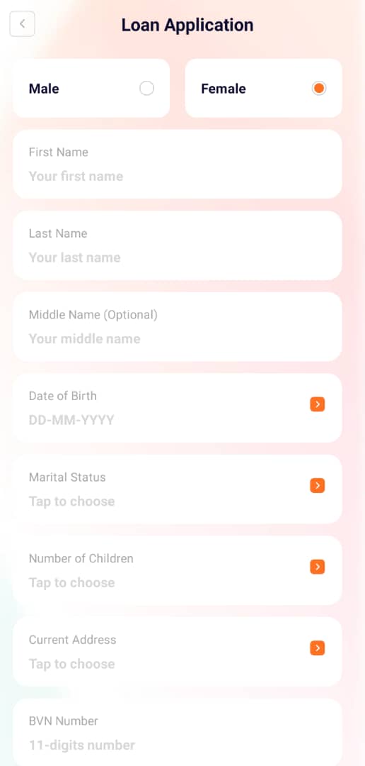 How the Hi Credit Loan App Works