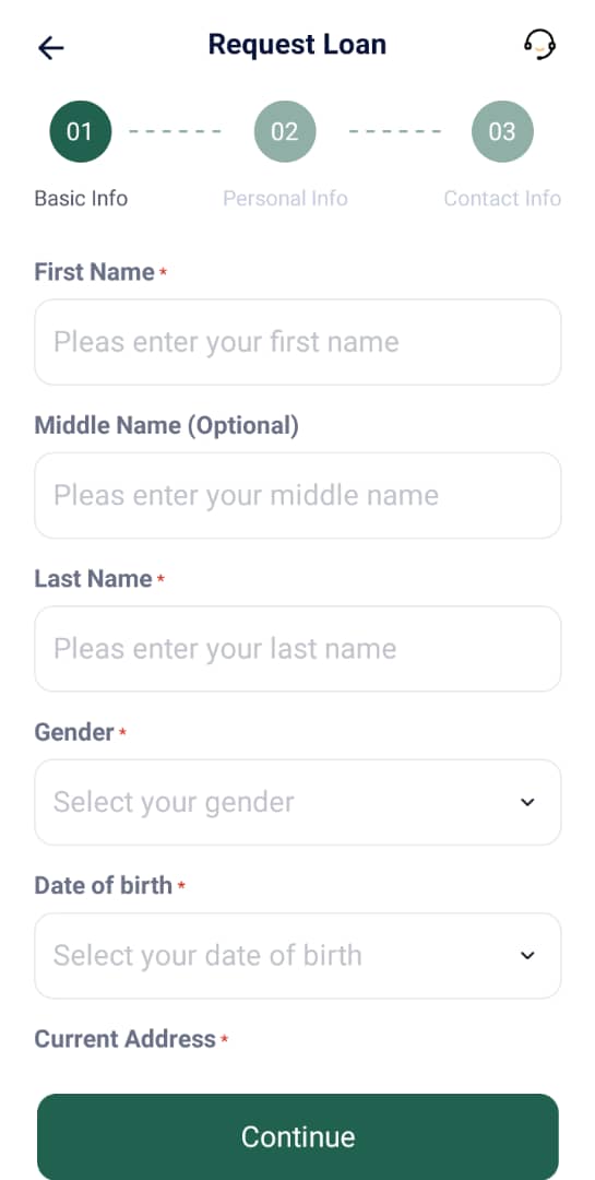 How the Constant Cash Loan App Works