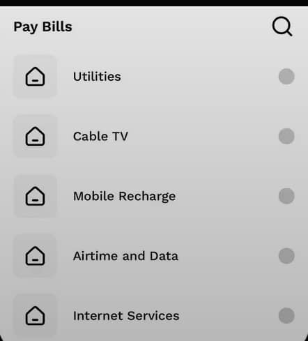 What Users Will Benefit From the SnapCash Loan App