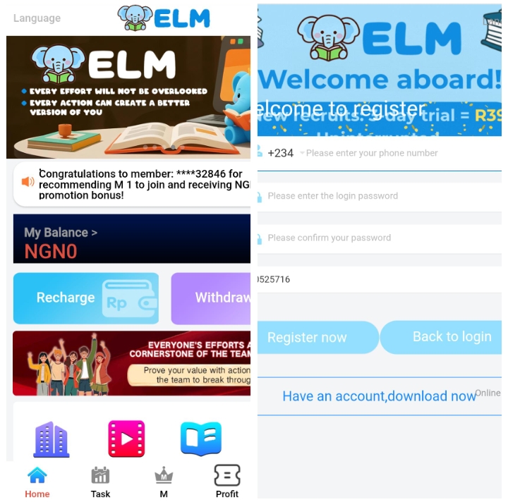 Elm8.vip Review