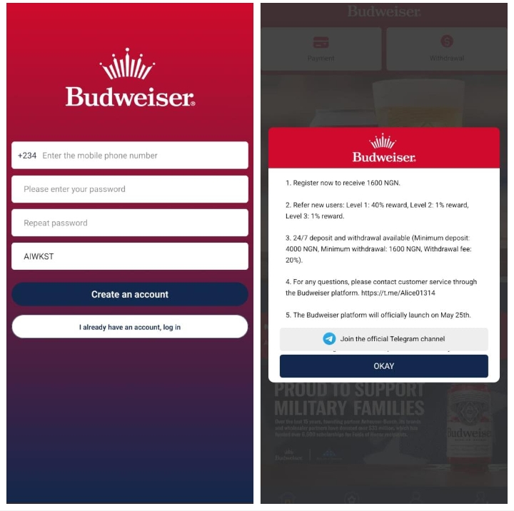 Bddbeers.com Review