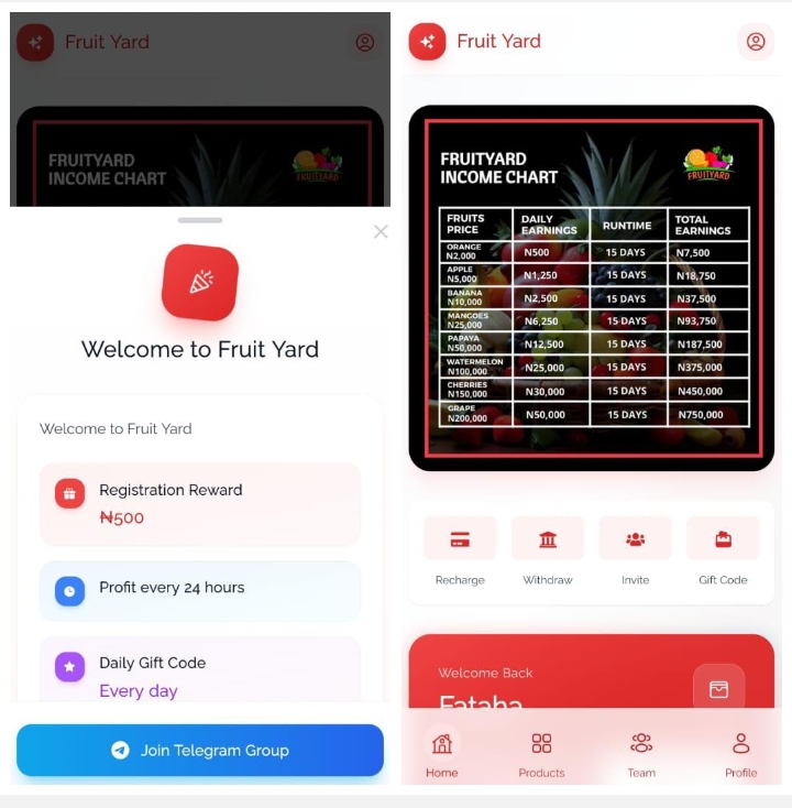 Fruity-yard.site Review