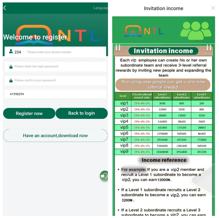 Ntlng.vip Review