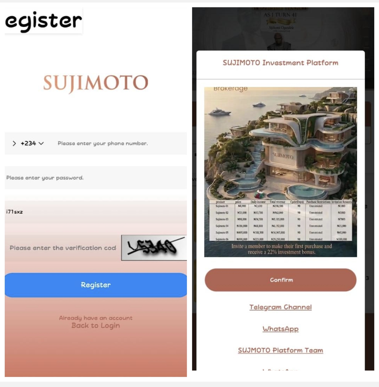 Sujimotonigpro.com Review