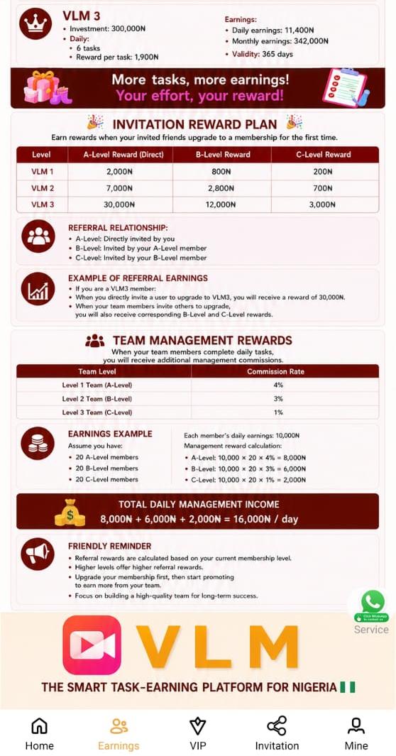 How Users Make Money On VLM