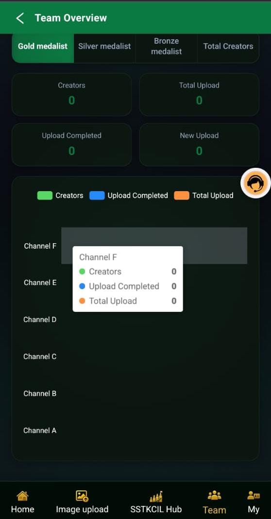 How Users Make Money On SSTK