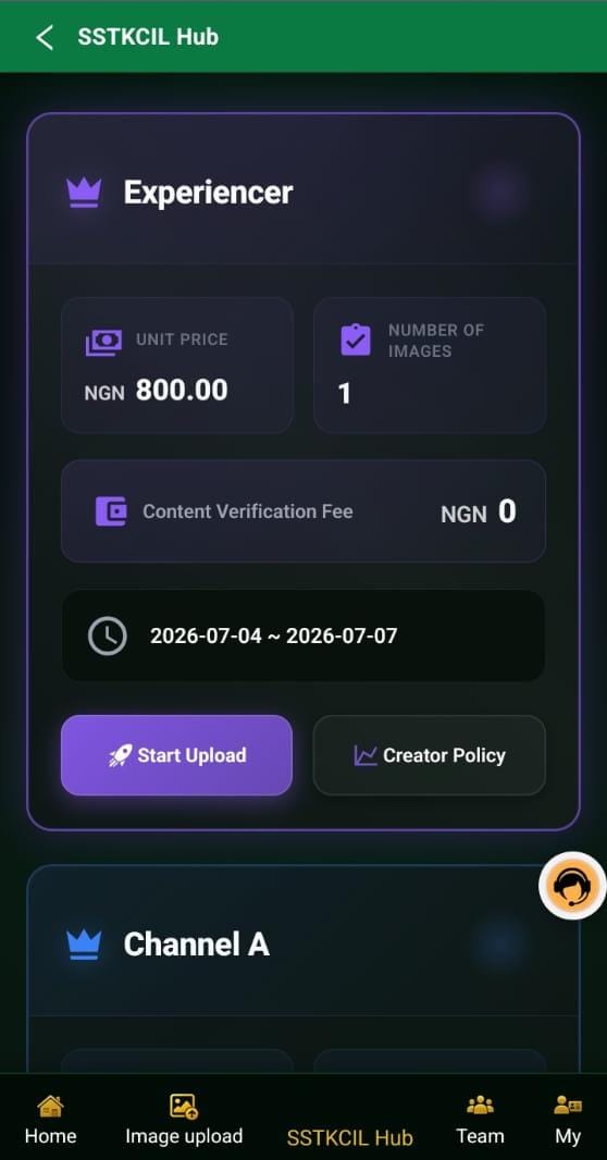 How Users Make Money On SSTK