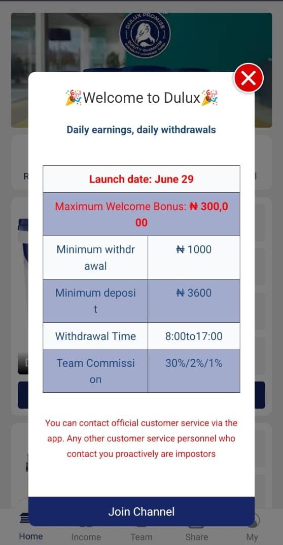 Nigeriadulux.com Review