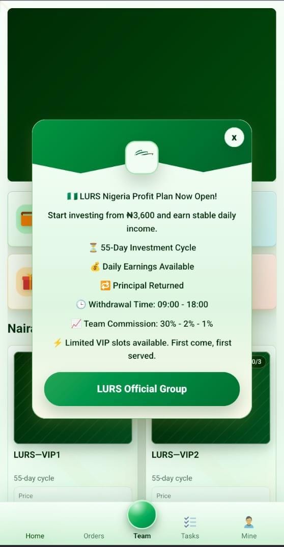 Liursssenes.shop Review
