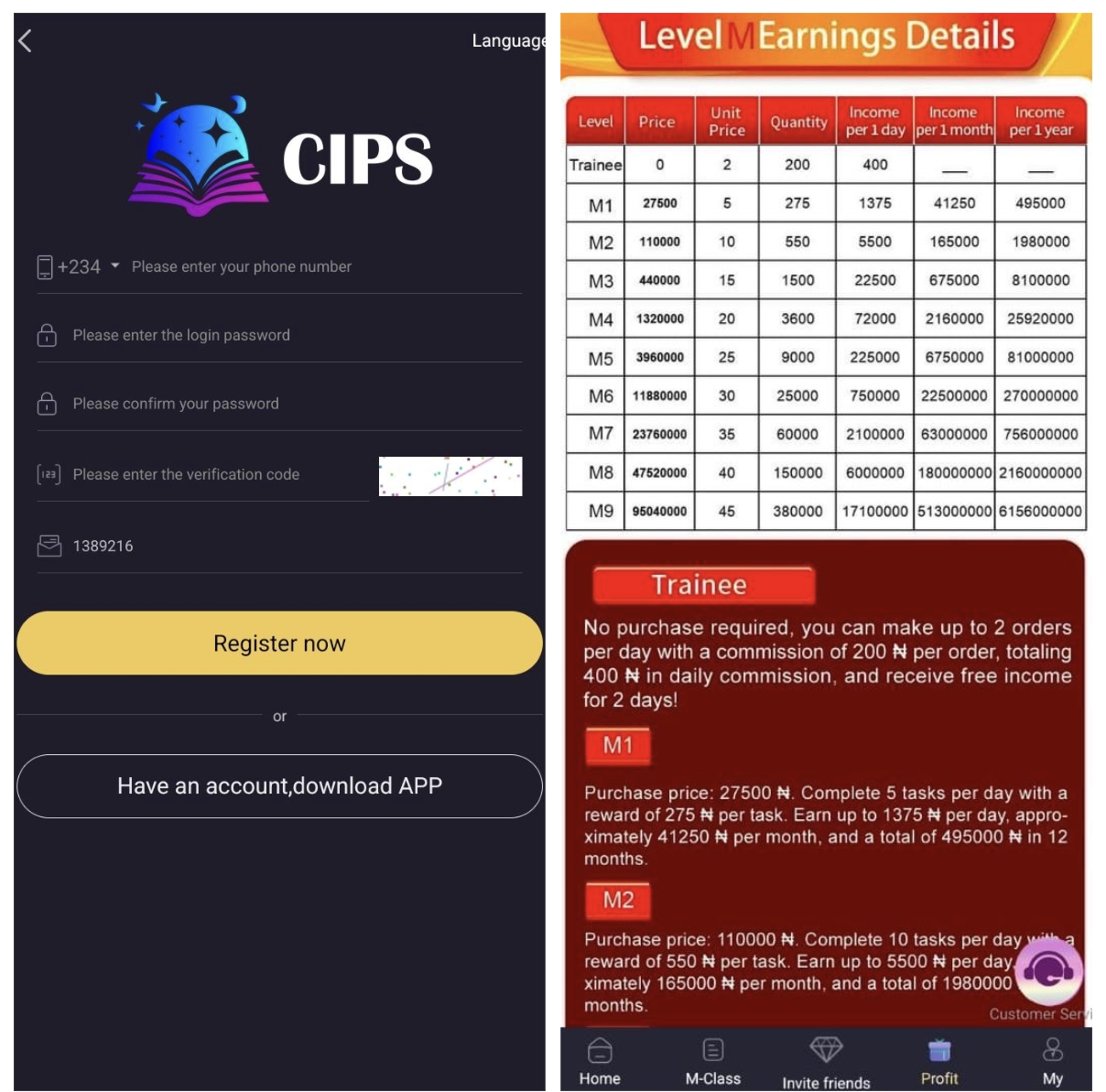 Cips66.vip Review