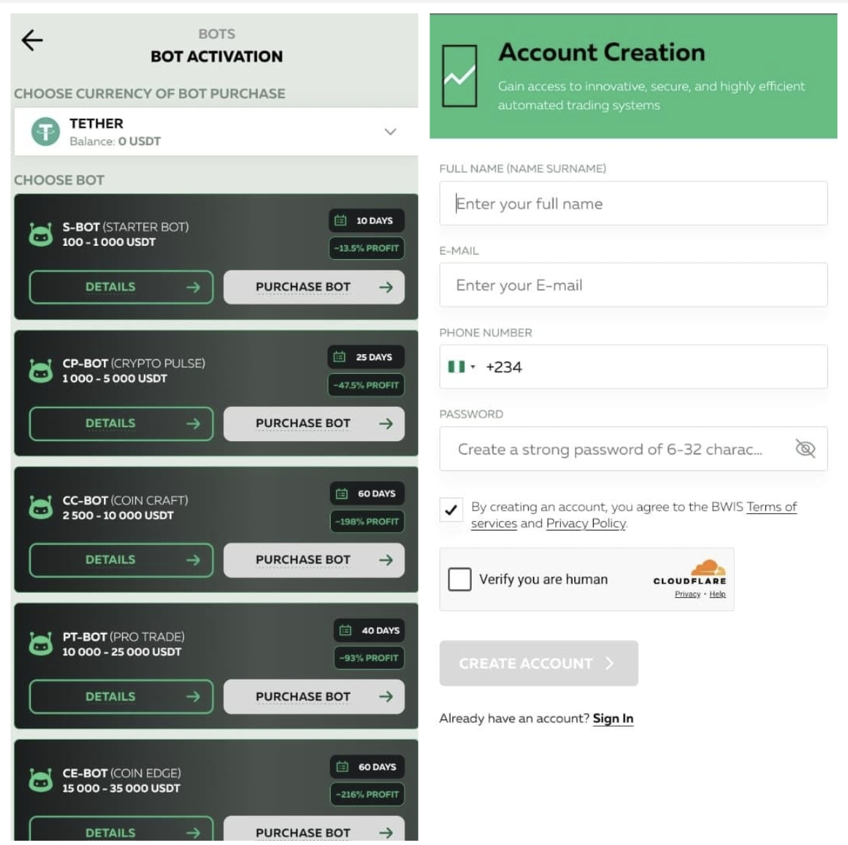 Bwis.io Review